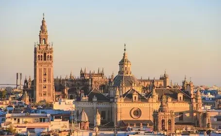siviglia-henrique-ferreira-62QRdDoe44M-unsplash-455