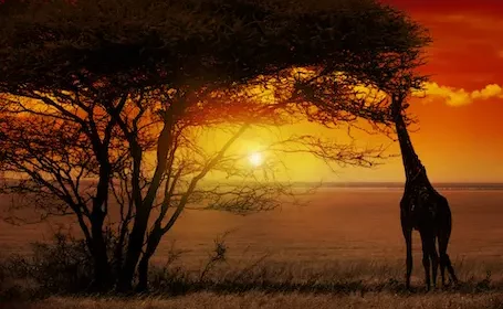 tanzania-serengeti-Depositphotos_26574261_455