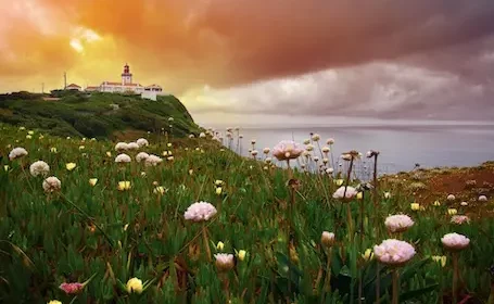 portogallo-cabo-de-roca-Depositphotos_11520688_455