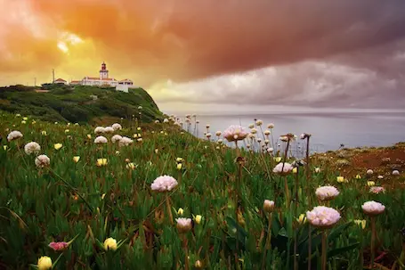 portogallo-cabo-de-roca-Depositphotos_11520688_455