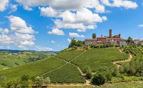 langhe_Depositphotos_71892641_455