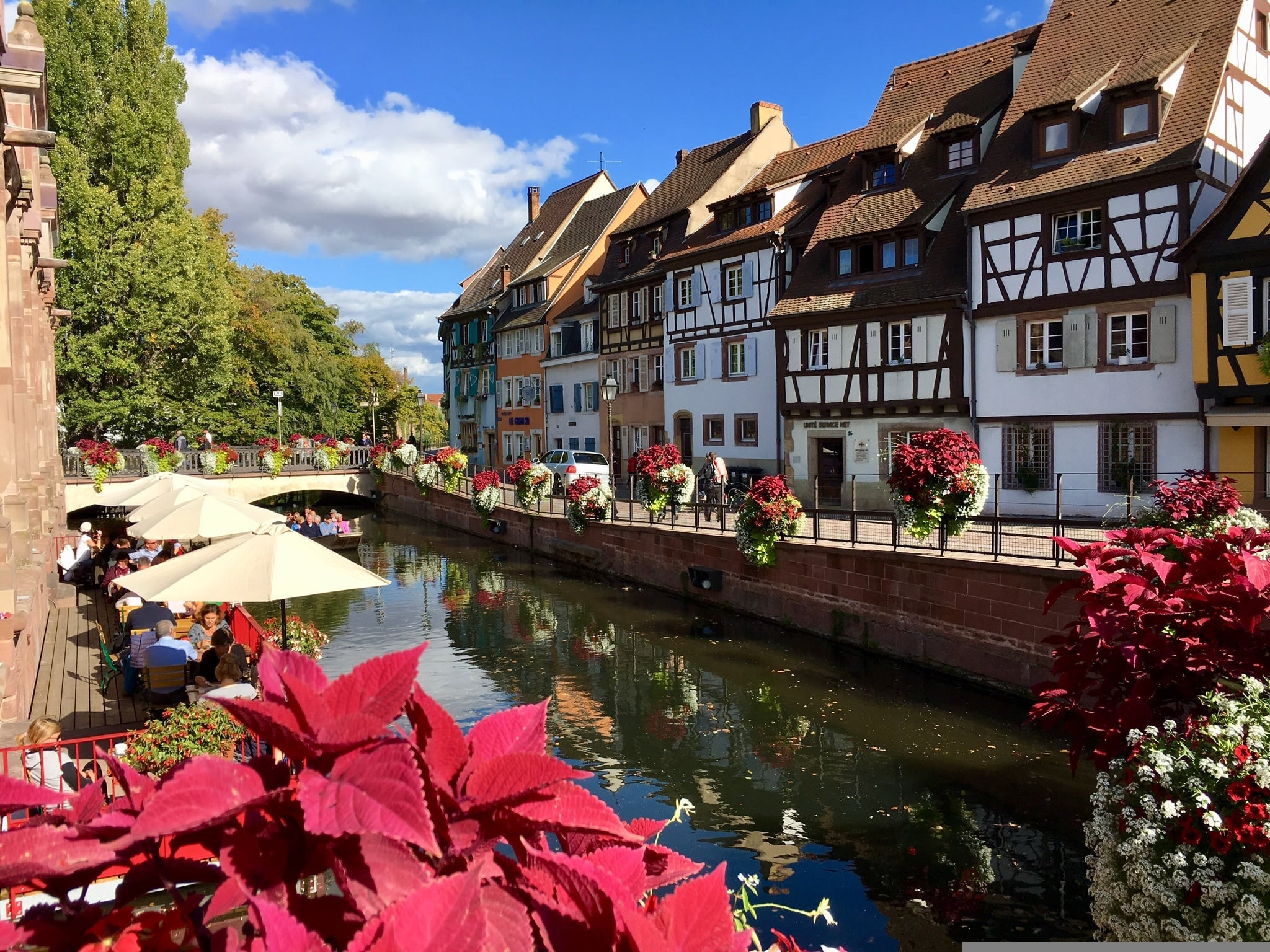 colmar-2854606